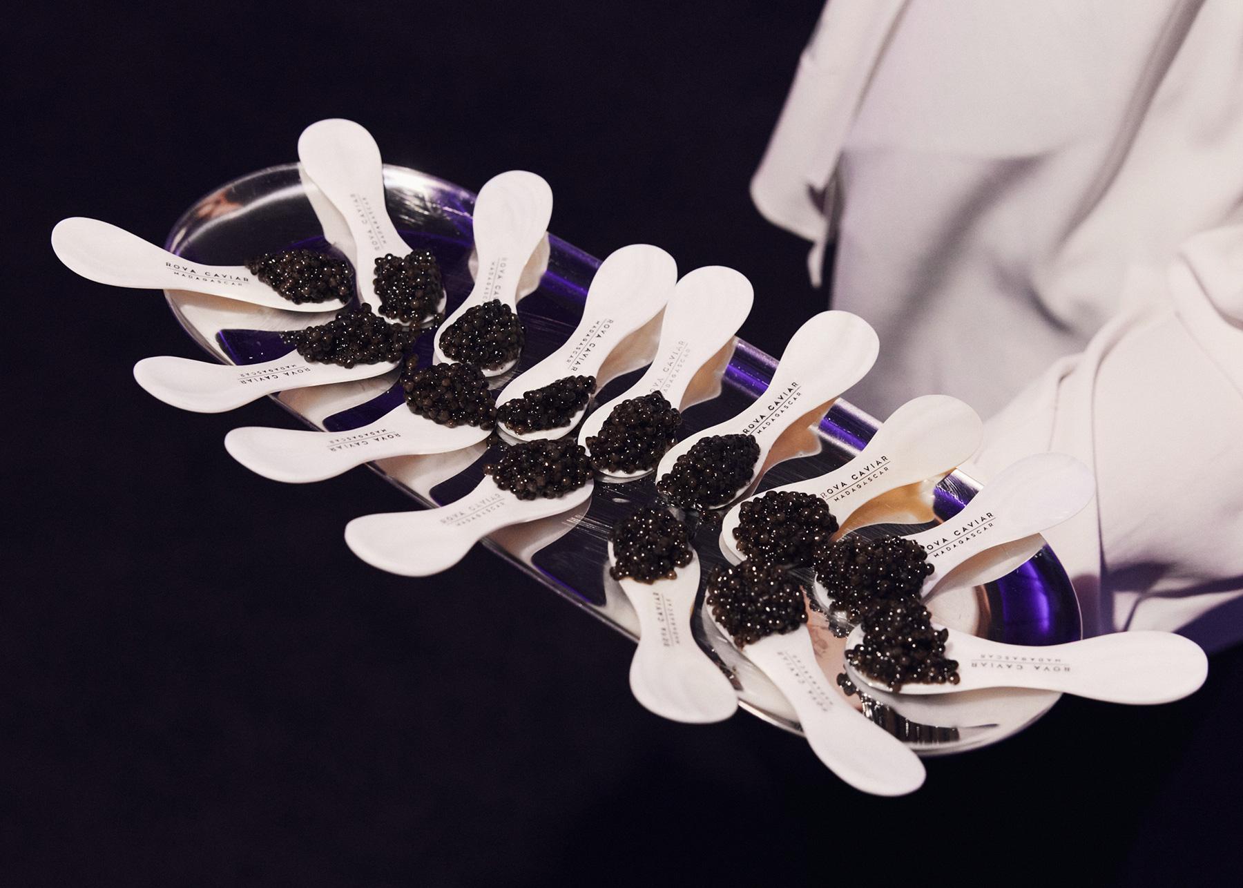 The Art of Caviar Tasting