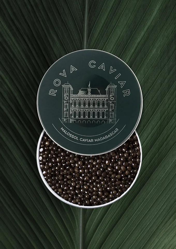 Boîte semi ouverte de caviar Osciètre sur fond naturel